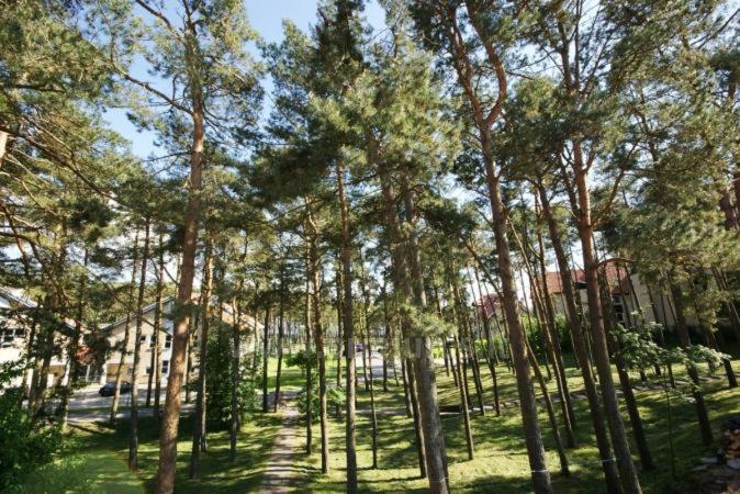 Апартаменты Kotedzas-Irena Нида Экстерьер фото